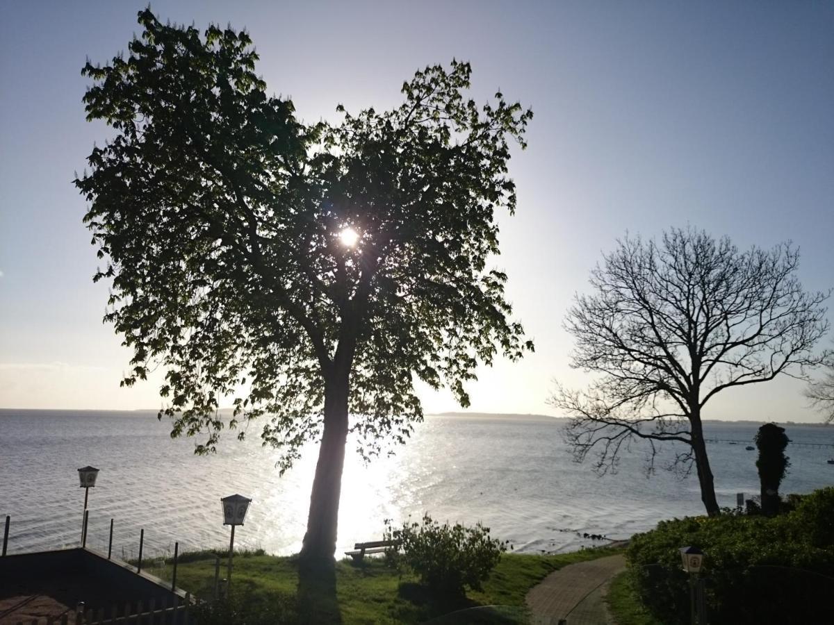Strandappartement Steinberghaff "Farborg" Mit Meerblick Steinberg  Exterior photo